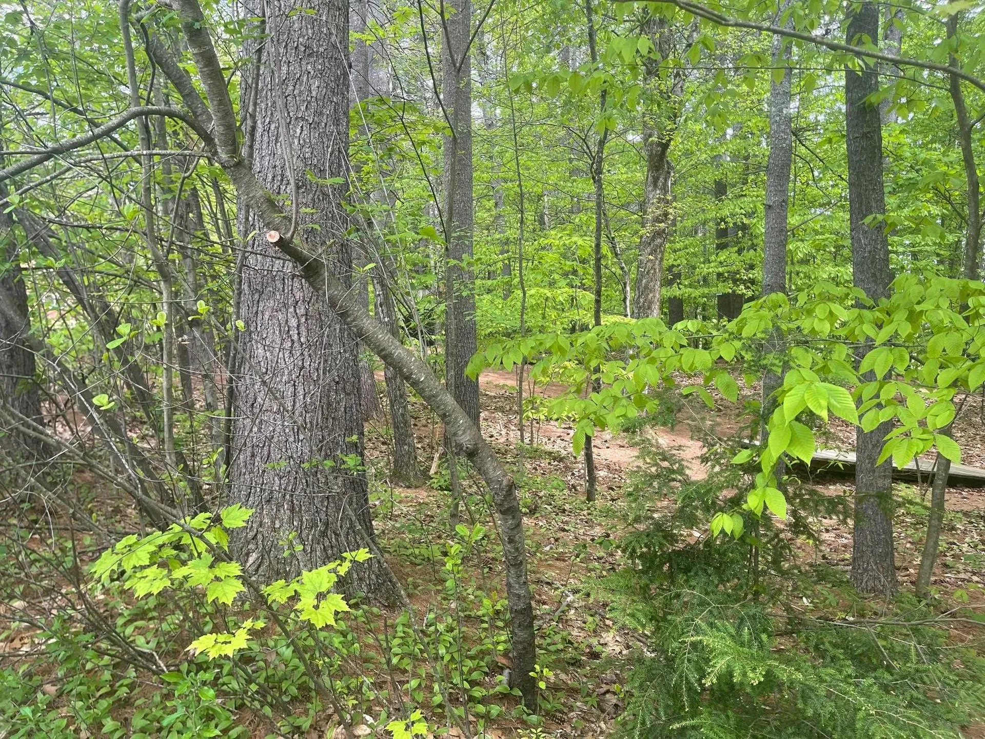 Rowell Drive Franklin NH 03235