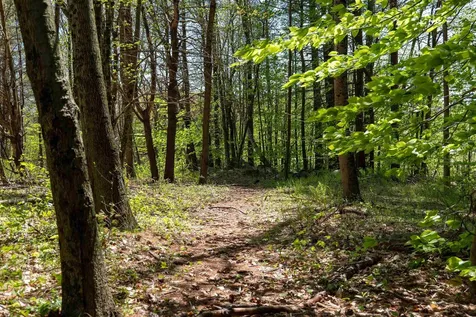 Rowell Drive Franklin NH 03235