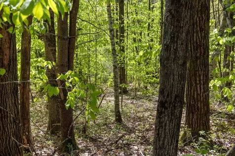 Rowell Drive Franklin NH 03235