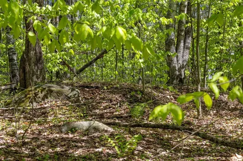 Rowell Drive Franklin NH 03235