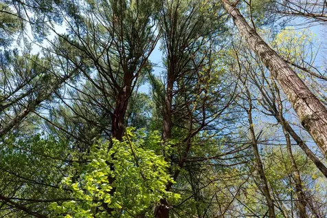 Rowell Drive Franklin NH 03235