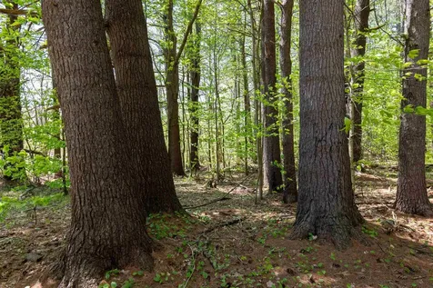 Rowell Drive Franklin NH 03235