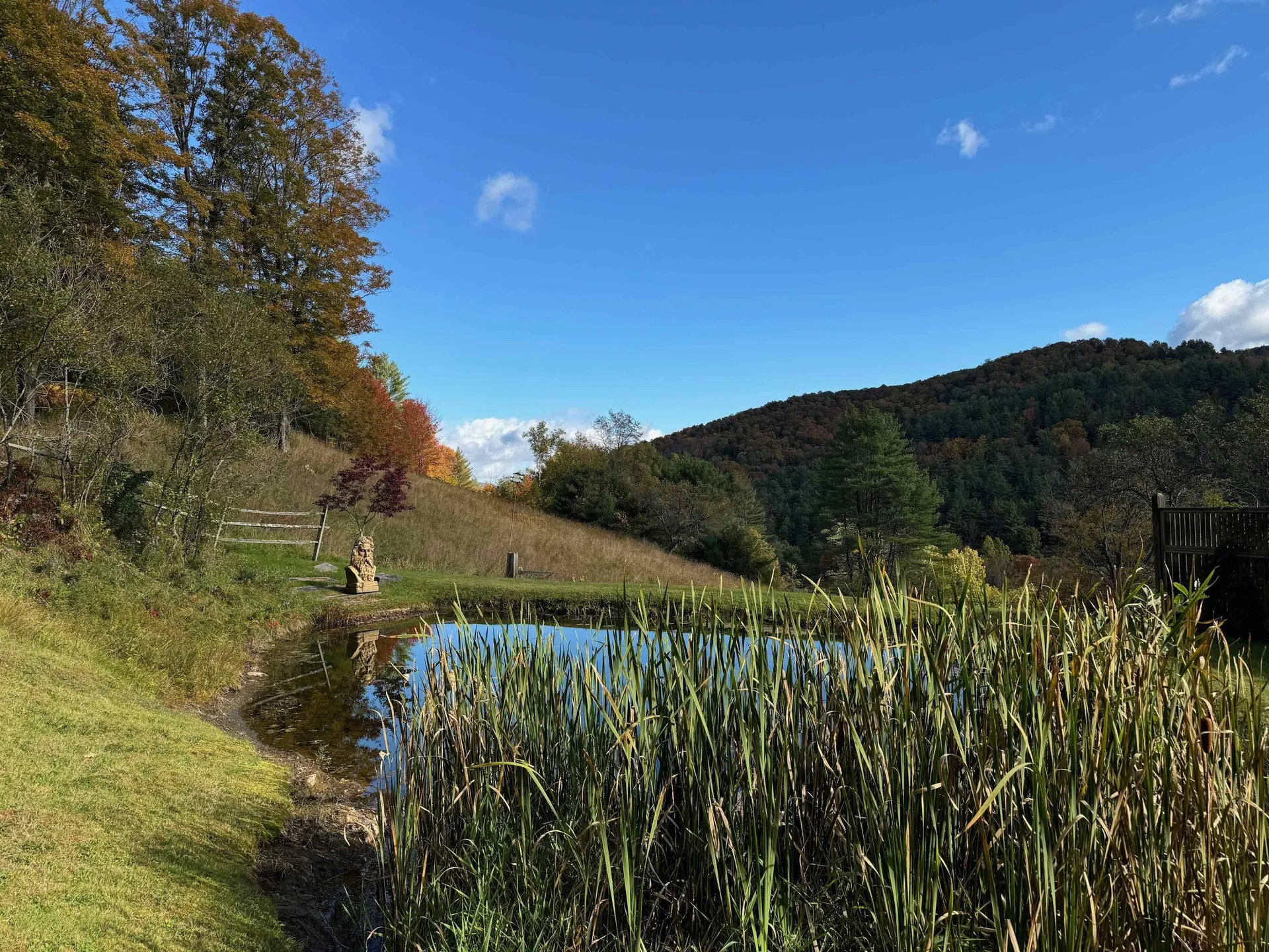 2334 South Road Woodstock VT 05091