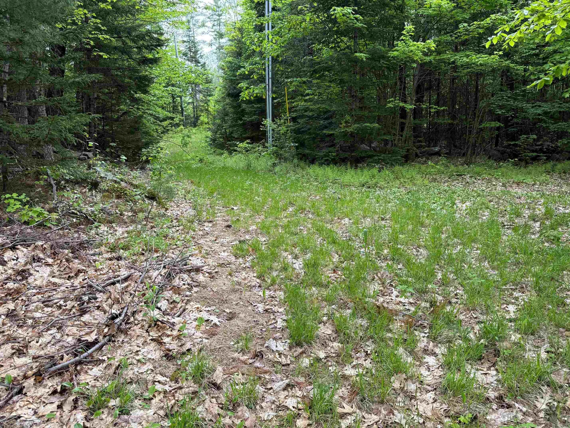 Lot 16 Granite Hill Road Wilmot NH 03287