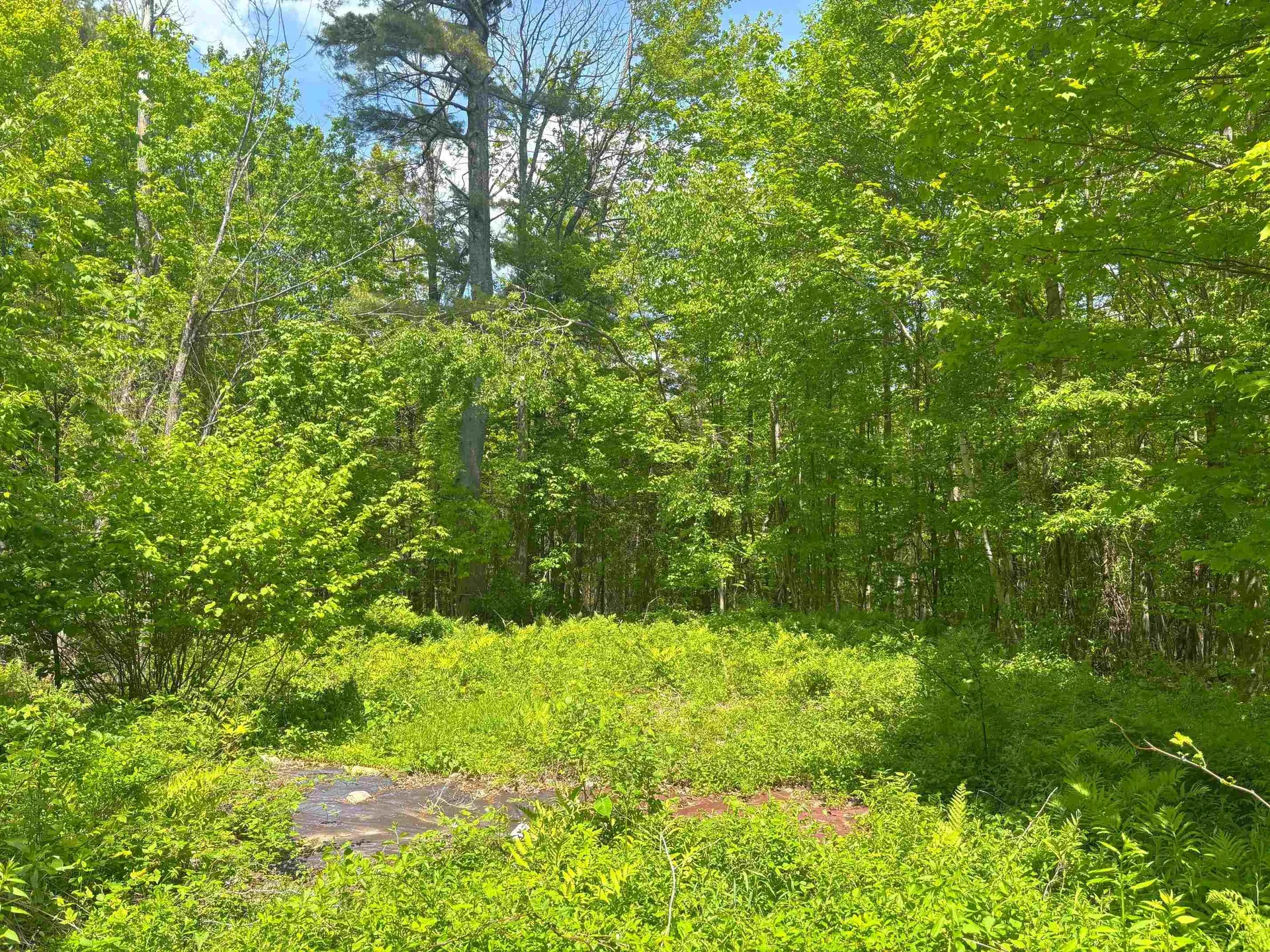 Lot 16 Granite Hill Road Wilmot NH 03287