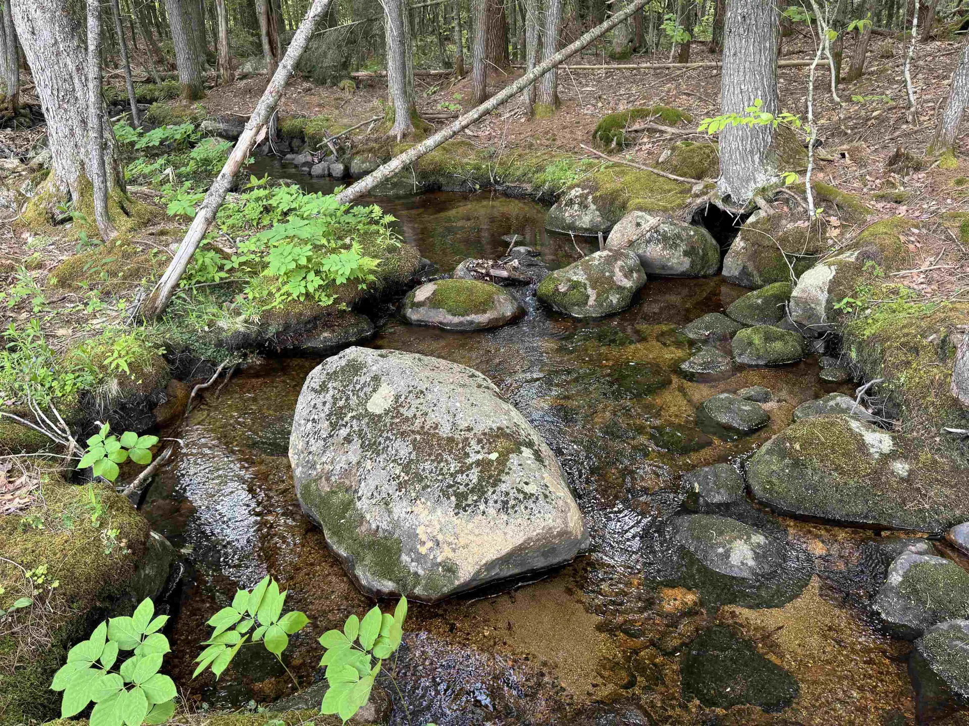 512 Deer Hill Road Tamworth NH 03886