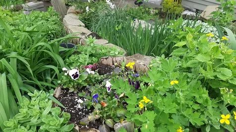 643 Main Street Cavendish VT 05153