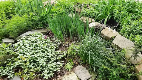 643 Main Street Cavendish VT 05153