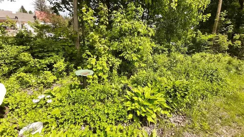 643 Main Street Cavendish VT 05153