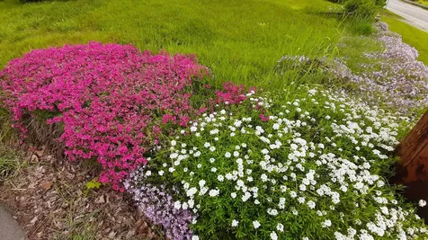 643 Main Street Cavendish VT 05153