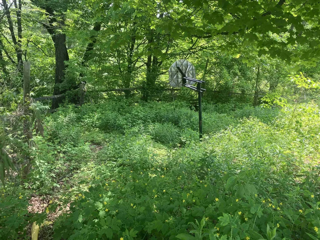 49 Winter Street Hardwick VT 05843