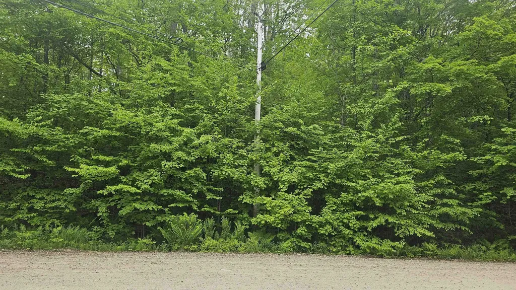 M111 L24&25 Tigola Trail Stoddard NH 03464