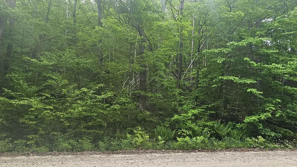 M111 L24&25 Tigola Trail Stoddard NH 03464