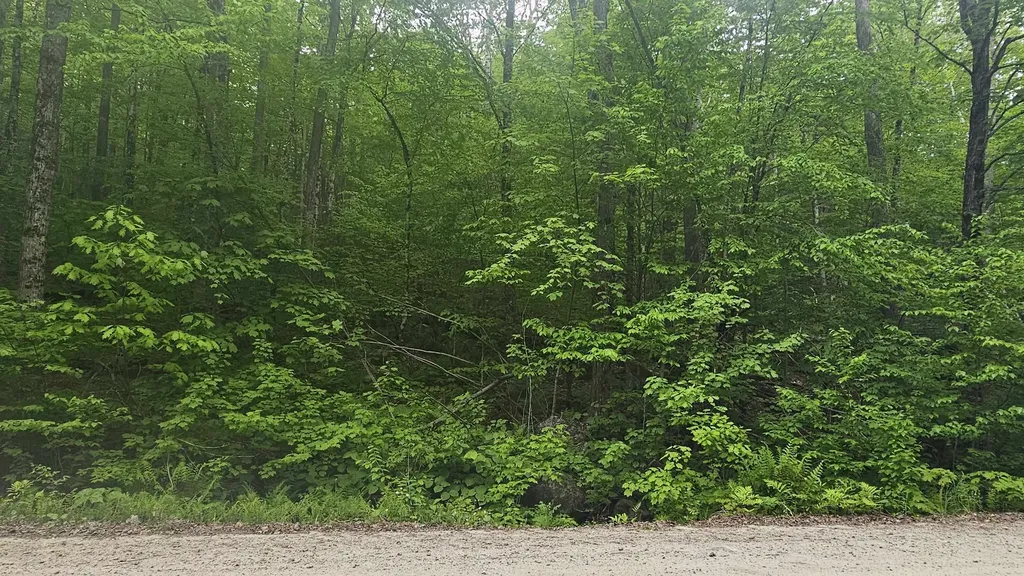 M111 L24&25 Tigola Trail Stoddard NH 03464