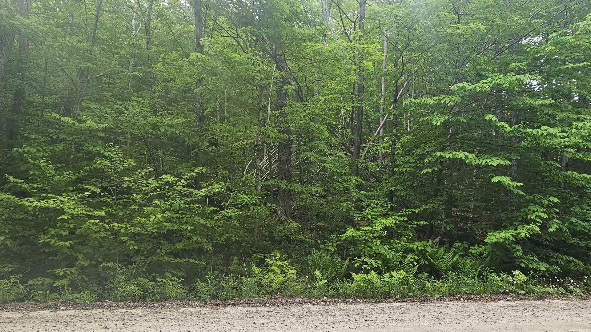 M111 L24&25 Tigola Trail Stoddard NH 03464