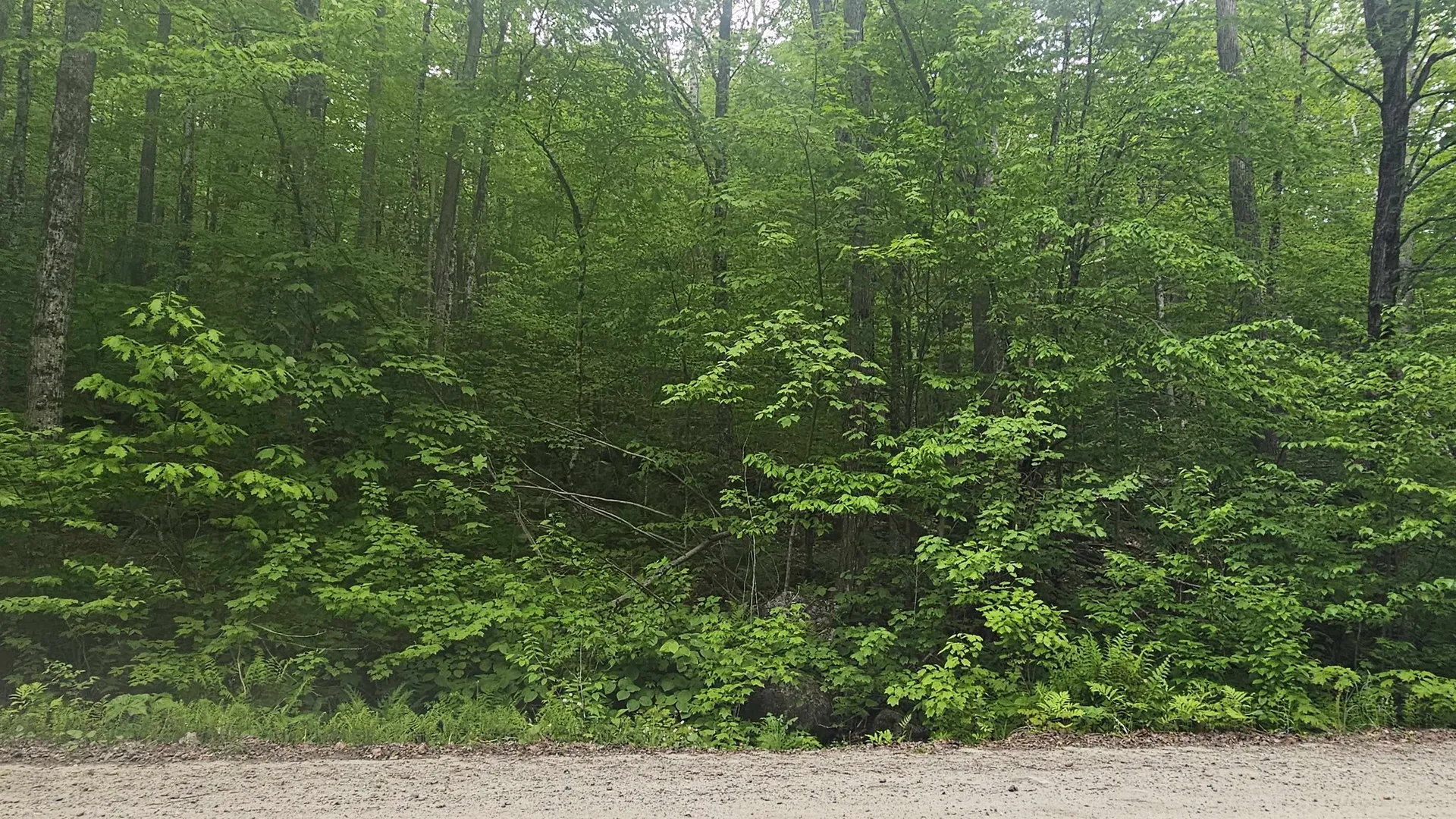 M111 L24&25 Tigola Trail Stoddard NH 03464