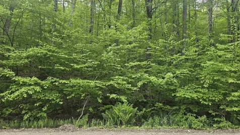 M111 L24&25 Tigola Trail Stoddard NH 03464