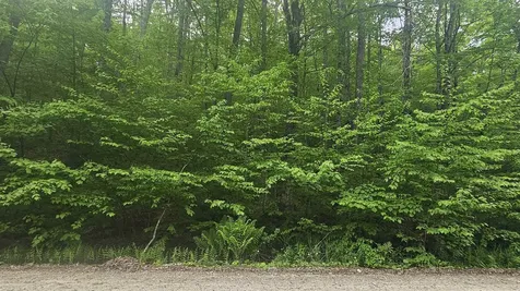M111 L24&25 Tigola Trail Stoddard NH 03464