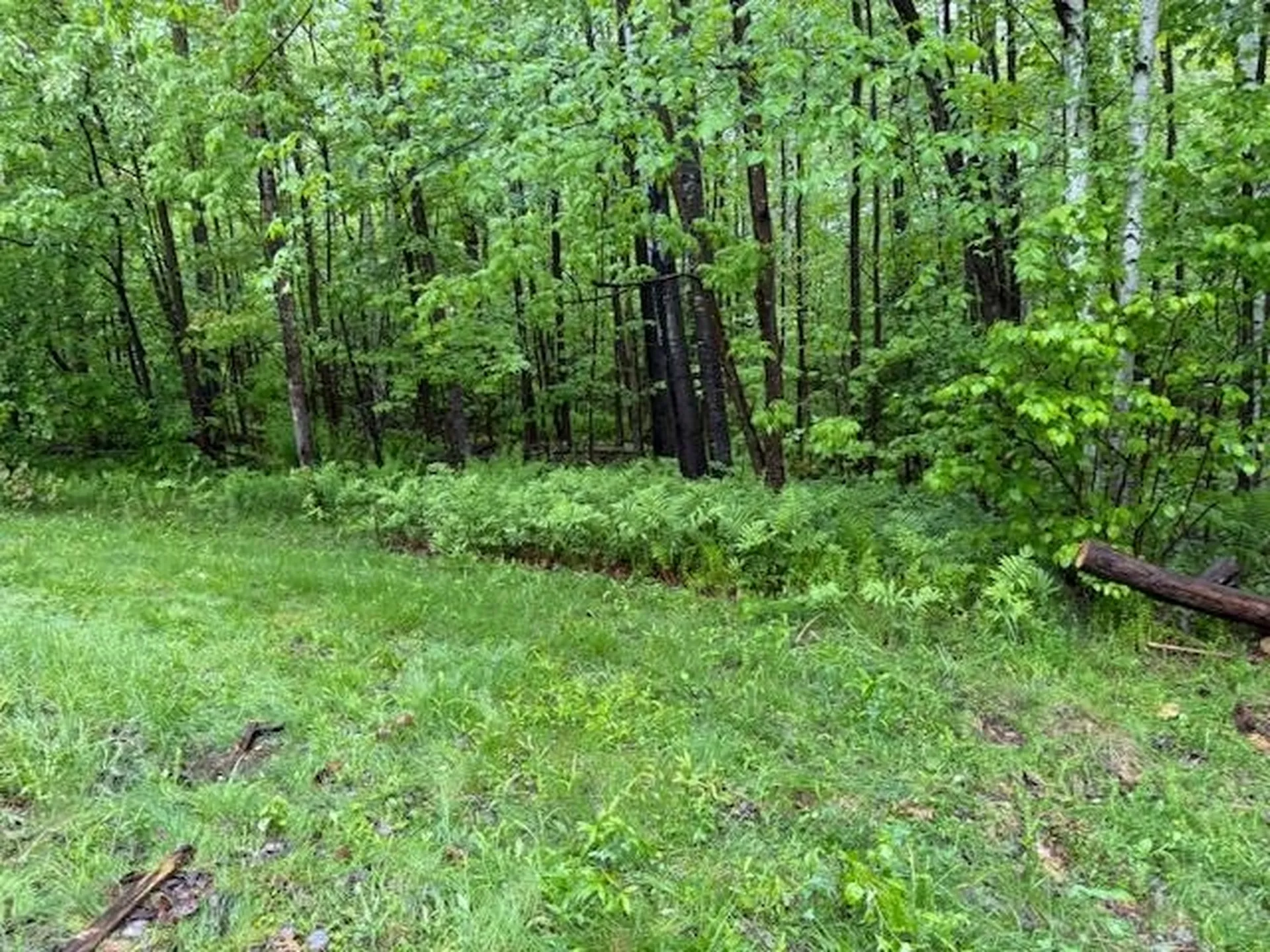 21 Sunday Mountain Deve Road Orford NH 03777