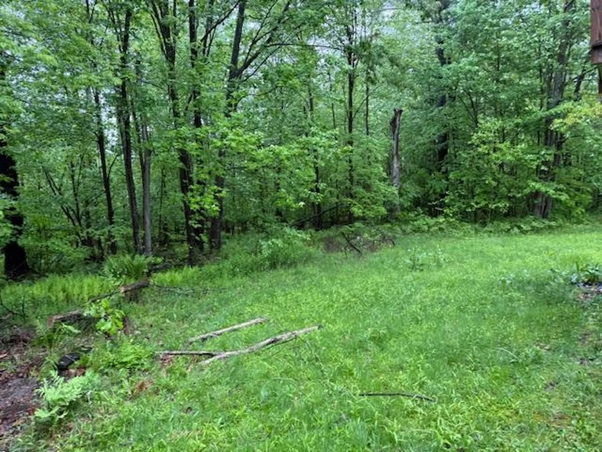 21 Sunday Mountain Deve Road Orford NH 03777