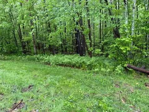 21 Sunday Mountain Deve Road Orford NH 03777