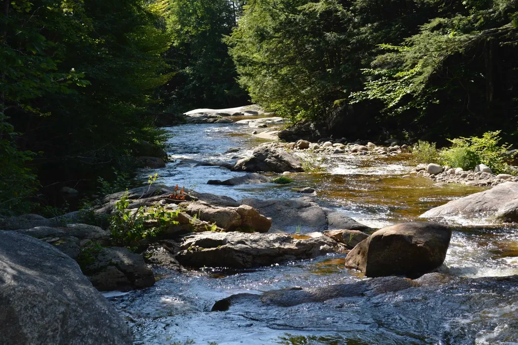 1678 Fowler River Road Alexandria NH 03222