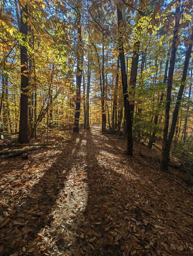 000 Province Road Gilmanton NH 03237