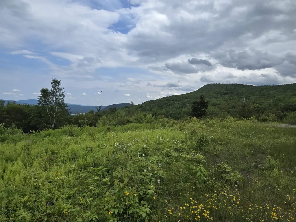 Lot 2 Skyline Drive Hebron NH 03241