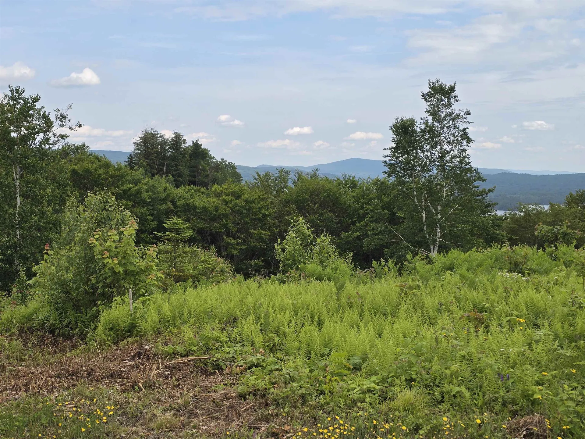 Lot 2 Skyline Drive Hebron NH 03241