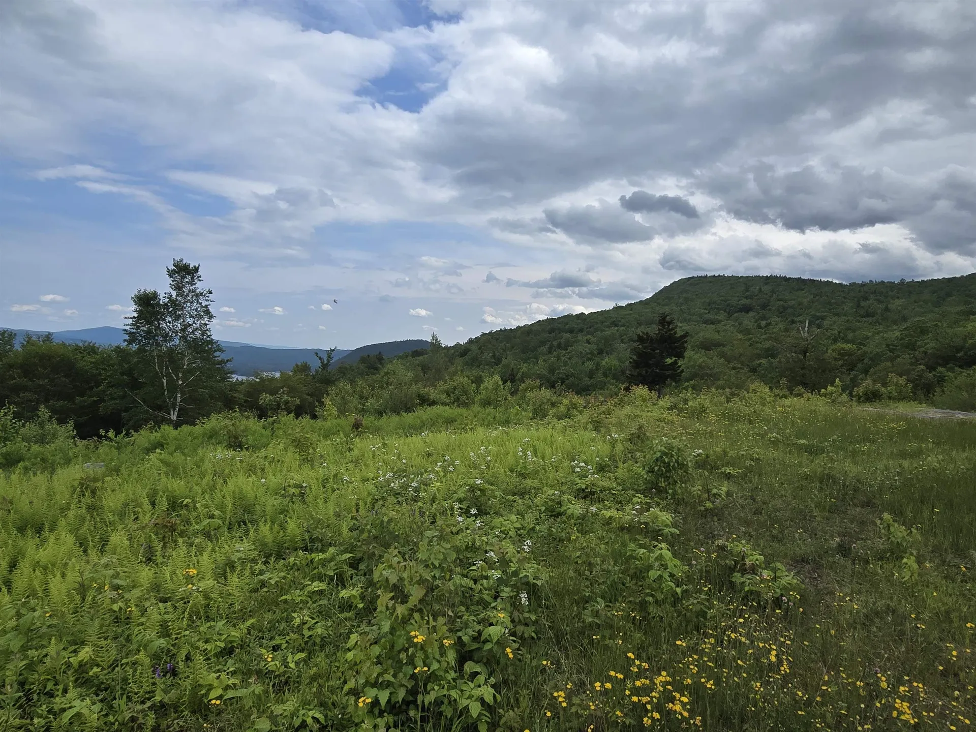 Lot 2 Skyline Drive Hebron NH 03241