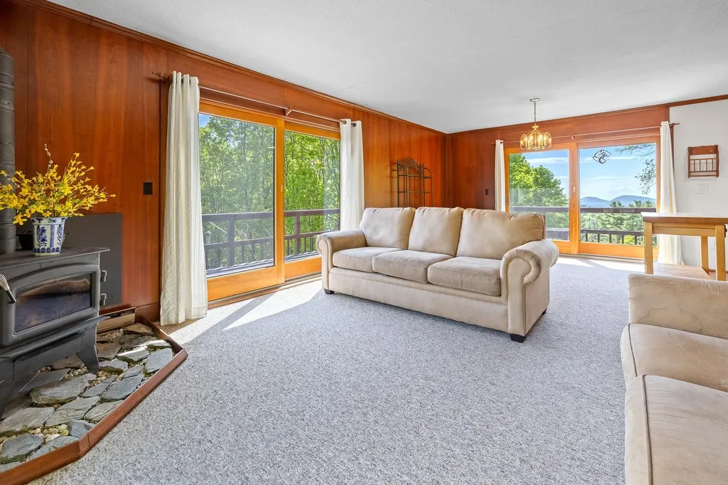 441 White Birch Drive Danby VT 05761