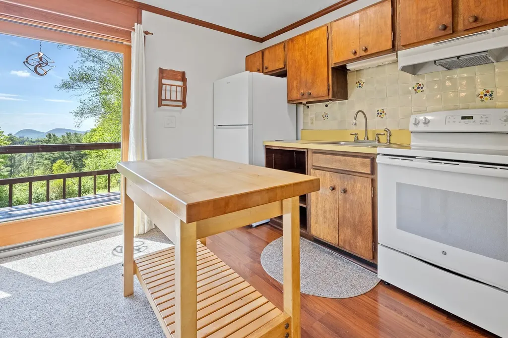 441 White Birch Drive Danby VT 05761