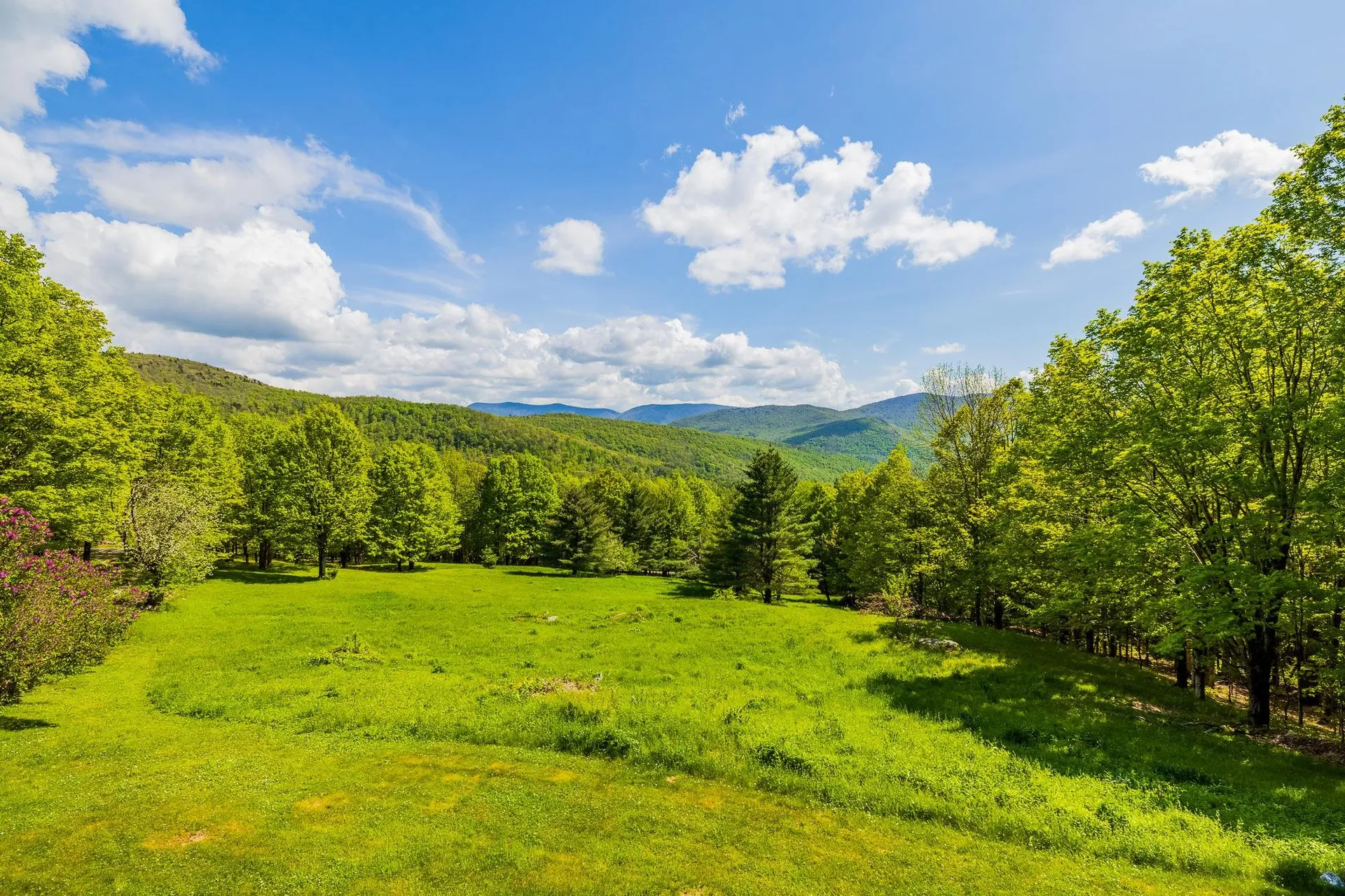 441 White Birch Drive Danby VT 05761