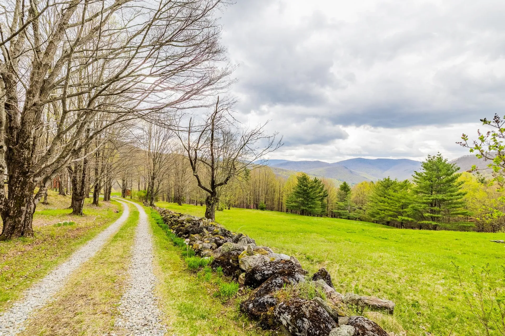 441 White Birch Drive Danby VT 05761