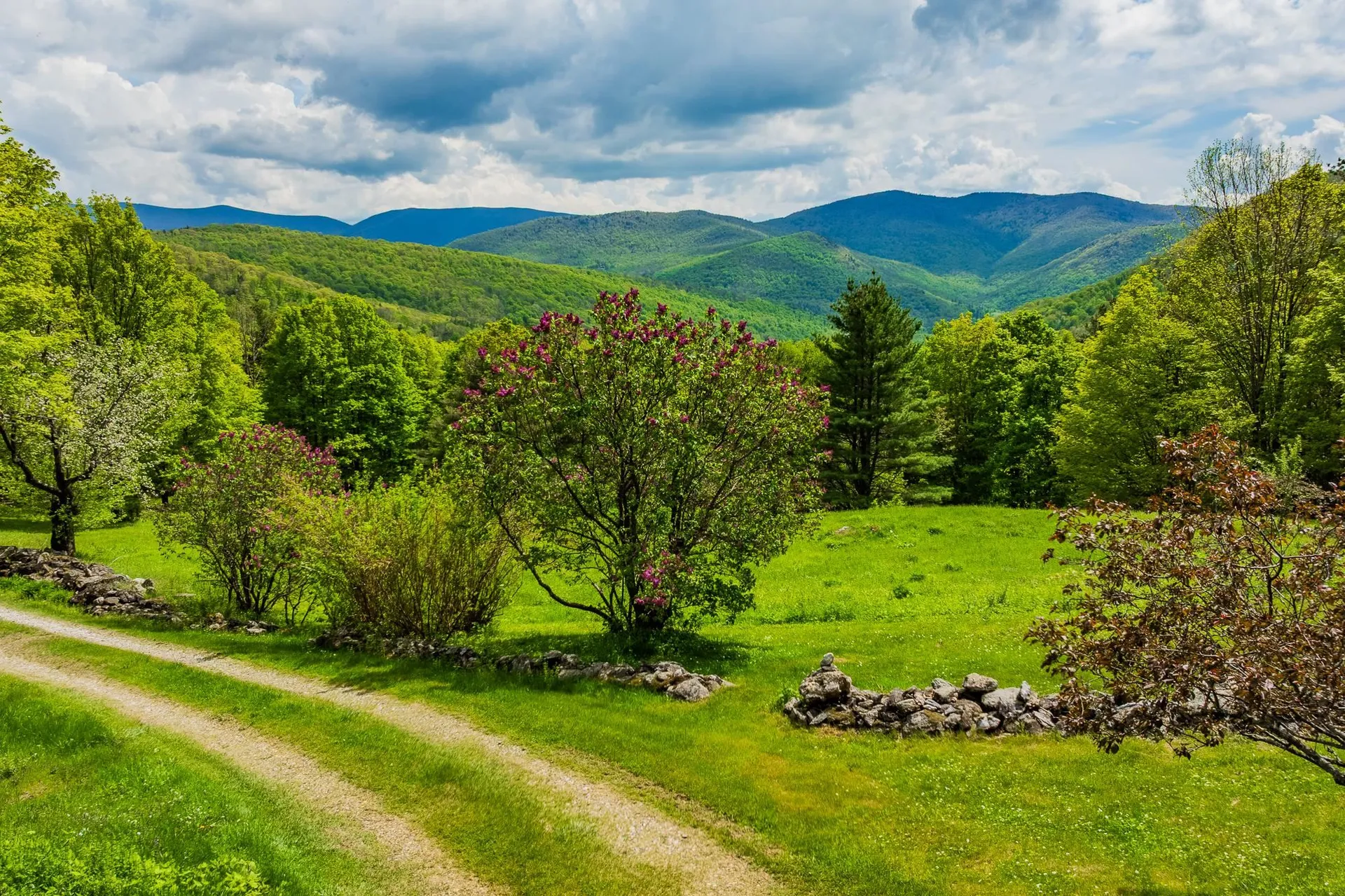 441 White Birch Drive Danby VT 05761