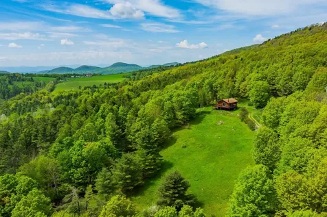 441 White Birch Drive Danby VT 05761