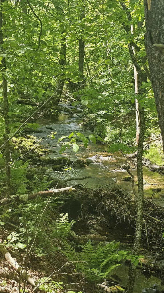 116 Newcomb Road Westminster VT 05158