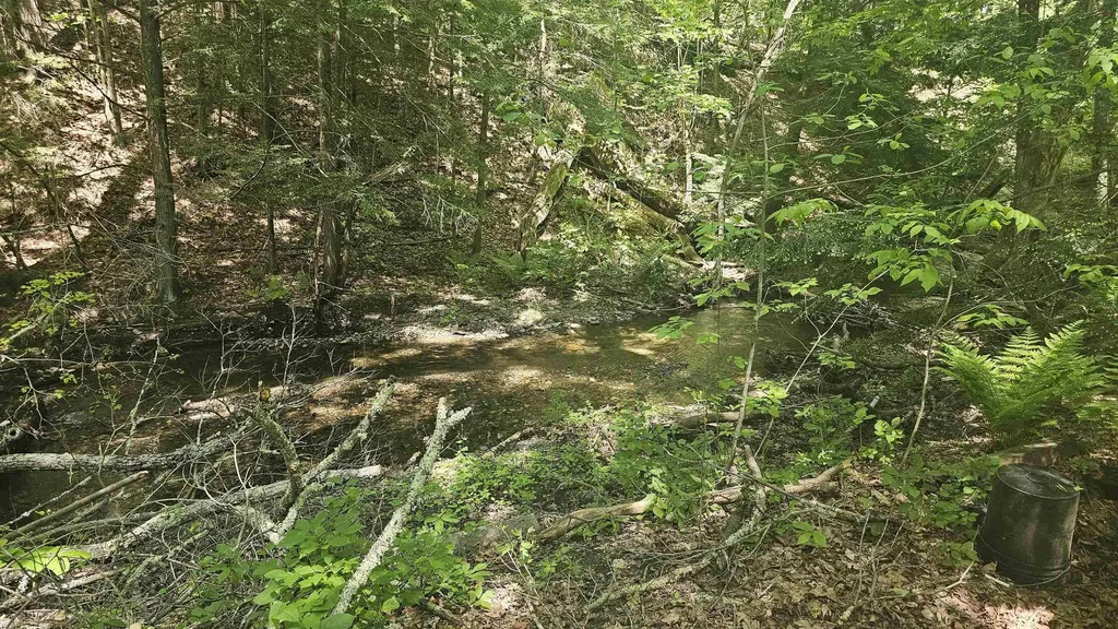 116 Newcomb Road Westminster VT 05158