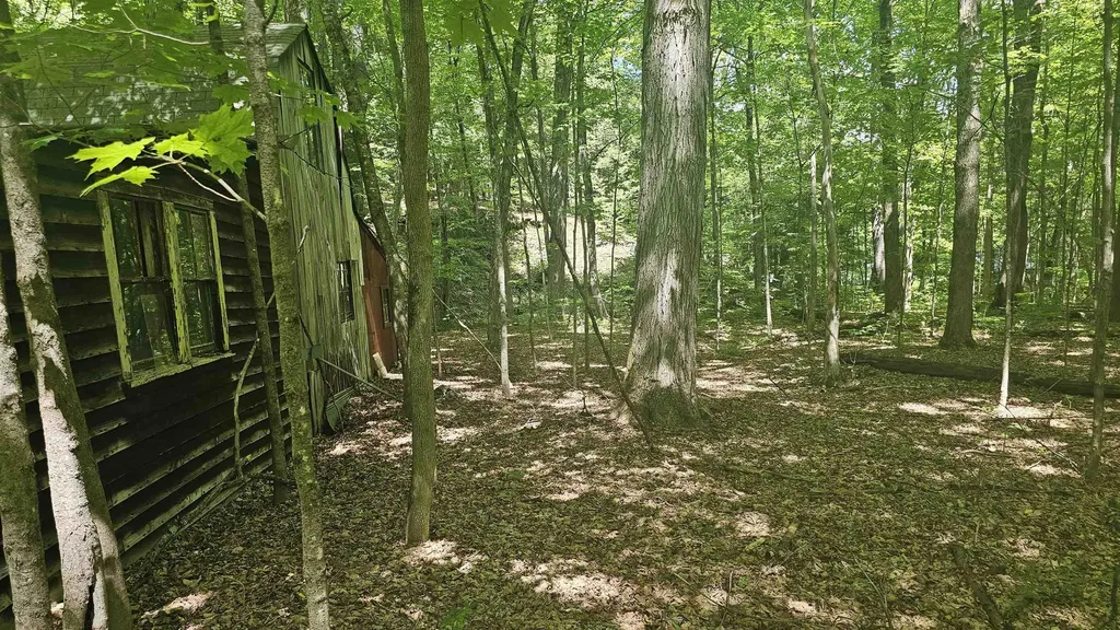 116 Newcomb Road Westminster VT 05158