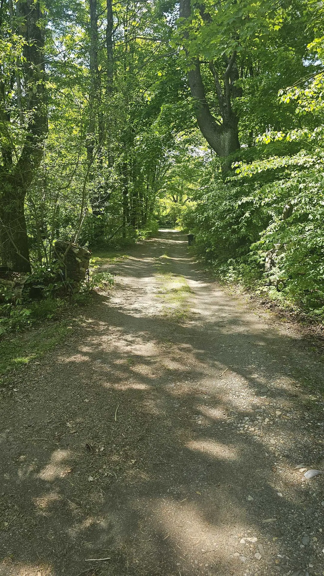 116 Newcomb Road Westminster VT 05158