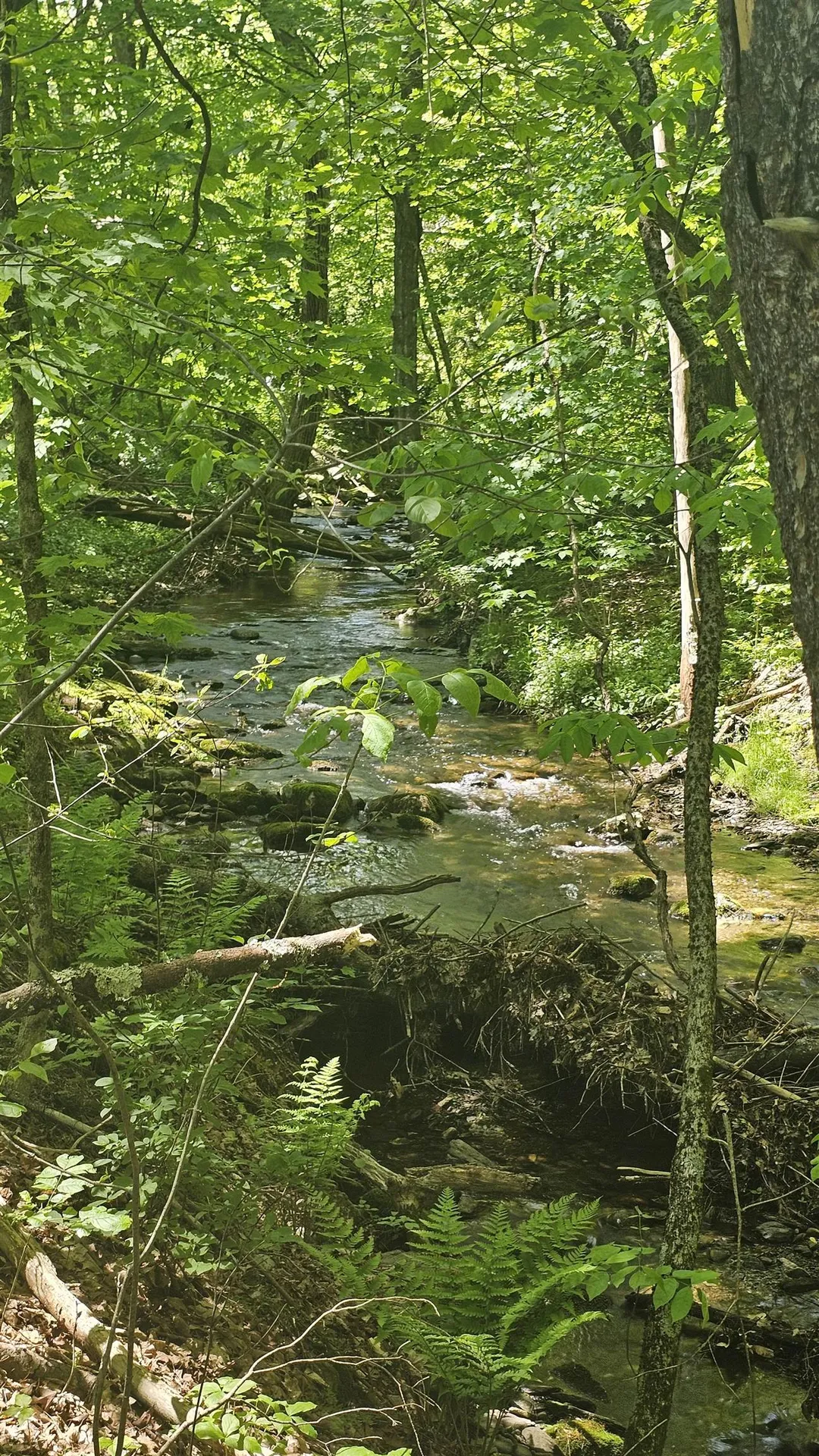 116 Newcomb Road Westminster VT 05158