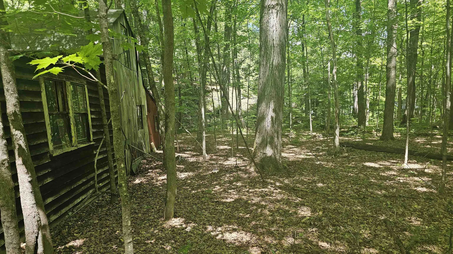 116 Newcomb Road Westminster VT 05158