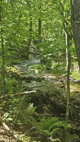 116 Newcomb Road Westminster VT 05158