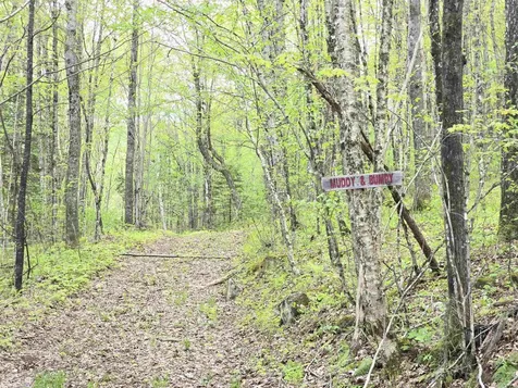 0 Bungy Road Columbia NH 03576