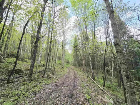 0 Bungy Road Columbia NH 03576