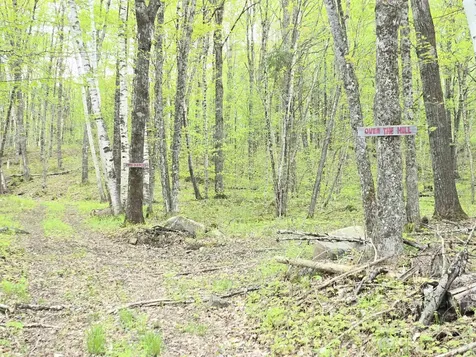 0 Bungy Road Columbia NH 03576
