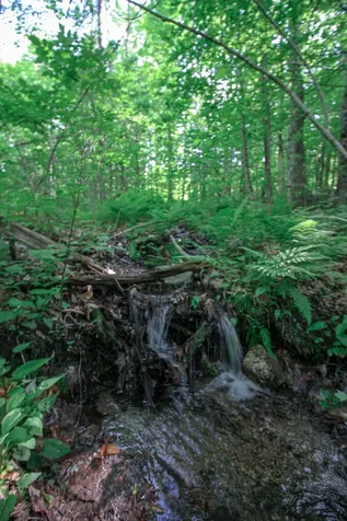 723 Whittier Highway Moultonborough NH 03254
