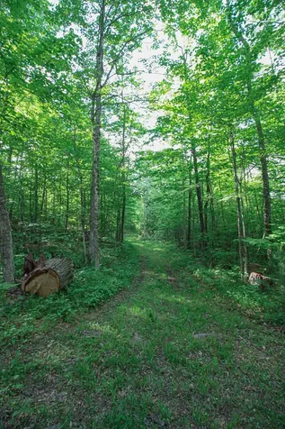723 Whittier Highway Moultonborough NH 03254