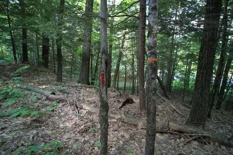 723 Whittier Highway Moultonborough NH 03254
