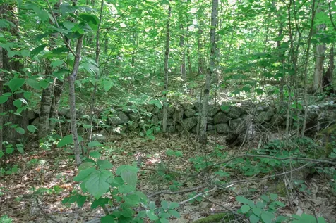 723 Whittier Highway Moultonborough NH 03254